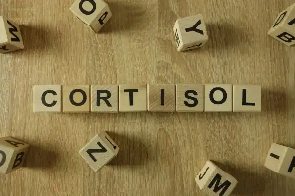 The Hidden Connection: How Stress Shapes Your Fitness and Body Composition 2 Image saying "Cortisol" and how stress Ashford impacts your wellbeing and bodies shape